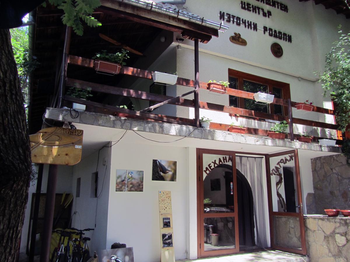 Vulture Centre Eastern Rhodopes Villa Madzharovo ภายนอก รูปภาพ
